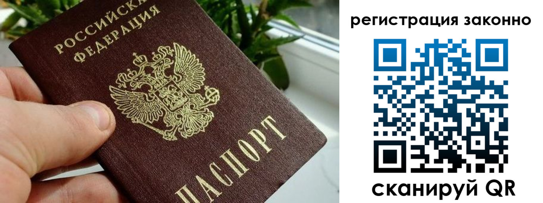 прописка гарантия в Калининграде